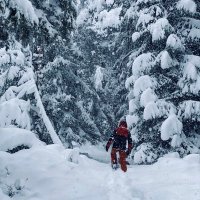 Romain Allender (@romainallender) 's Twitter Profile