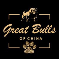 Great Bulls of China(@great_bulls) 's Twitter Profile Photo