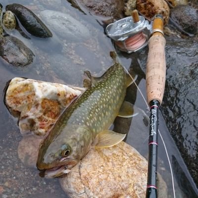 釣りとコンポスト、家庭菜園が趣味です。
最近はキノコも（写真だけ）
釣り【https://t.co/2vqGLbdpbp】
コンポスト【https://t.co/ZEfBwHcjFd】