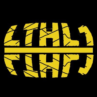 Twitch streamer/Gamer, Personal Trainer, Programmer/Dev, Music Producer