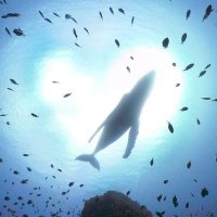 A World beyond imagination (@aworldbeyondim1) 's Twitter Profile