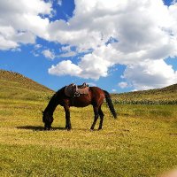 LYU Liangzhong (@liangzhonglyu) 's Twitter Profile