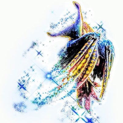 蒼色さんのプロフィール画像