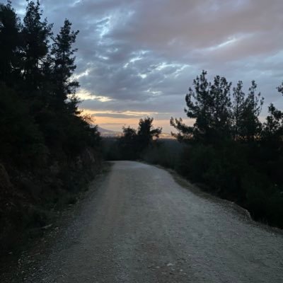 atama1998's profile picture. 