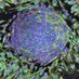 Centre for Cellular Imaging | Uni. of Gothenburg (@cci_gu_se) Twitter profile photo Centre for Cellular Imaging | Uni. of Gothenburg (@cci_gu_se) Twitter profile photo