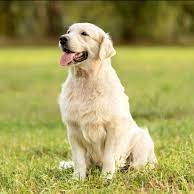 aguabents's profile picture. YOLO