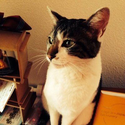 田島将吾の沼に落ちました♡ れんたじ尊い♡♡♡ ORβITも好きなearthです!ヨンフン&ユンドン推しです✨基本いいね、リツイート☺️ゆるく楽しくオタ活してます♪ 無言フォロー失礼します🙏
