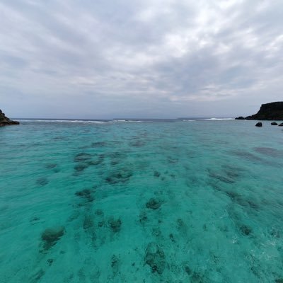 KAMIJOYUTA's profile picture. ウェブメディア運営