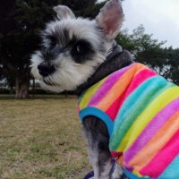 robin (@dovewhite4ever) 's Twitter Profile