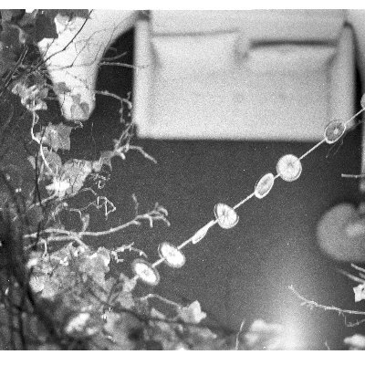 elipses3's profile picture. I  heard it outside