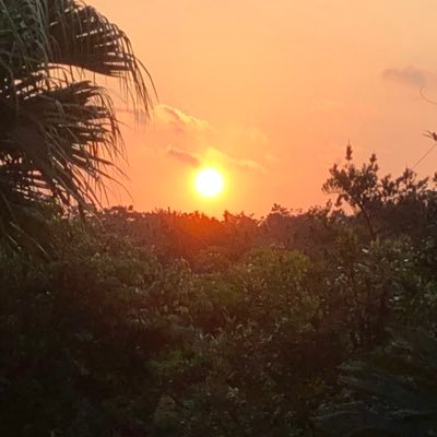 adKjNbiJqimuco3's profile picture. ngt9th→HU03