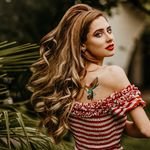thehummingbird (@sthehummingbird) 's Twitter Profile