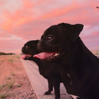 eric1980's profile picture. Artist.