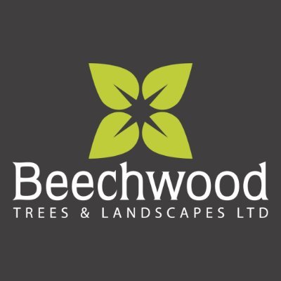 @BossBeechwood