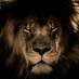 Crypto Lion (@cryptolion_lion) Twitter profile photo Crypto Lion (@cryptolion_lion) Twitter profile photo