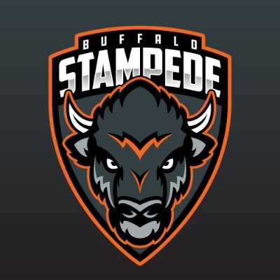 There is a new face for Jr. Hockey in Buffalo. Meet the Buffalo Stampede.