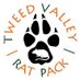 🏴󠁧󠁢󠁳󠁣󠁴󠁿 TweedValleyRatPack 🐀 (@TweedRat) Twitter profile photo