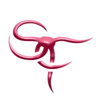 Soul Feeder (@soul__feeder) 's Twitter Profile