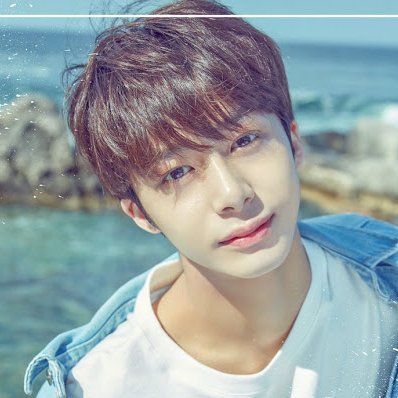 #Hyungwon: Funny things about humans is that just a little thing can make us happy and can give us a goal in life.