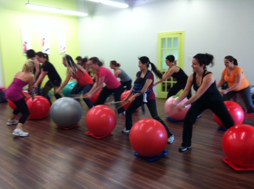 Mission: favoriser le développement et le maintien de la forme physique des femmes et des enfants et d’encourager les activités familiales.