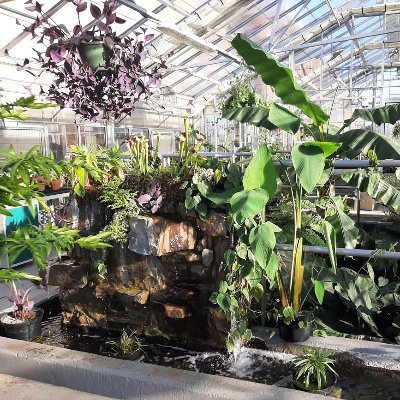 The Radford University Greenhouse is part of the Biology Department in the Artis College of Science and Technology. It is located on campus attached to the east