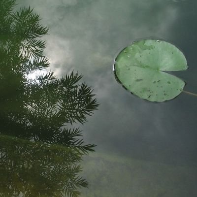 rohhit16's profile picture. 