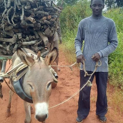 Soweousman3's profile picture. Greetings to all my friends 
As you can see our page we are here looking for kindness help and support for food and good living of life🙏🙏🙏😢😥😥