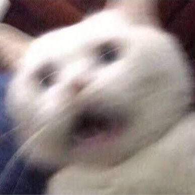 Moritaka031's profile picture. Just a normal guy