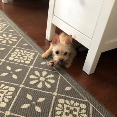 AlyssaGreening1's profile picture. 