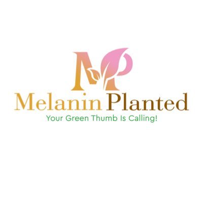 Plant your peace today 🌱  #dmv #pittsburgh #charlotte info@melaninplanted.com