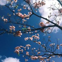 🌿🌿🌿 𐩬 𐩠 𐩱 (@nuha19913) 's Twitter Profile Photo 🌿🌿🌿 𐩬 𐩠 𐩱 (@nuha19913) 's Twitter Profile Photo