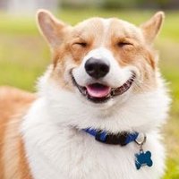 Brcooks (@brcookss) 's Twitter Profile