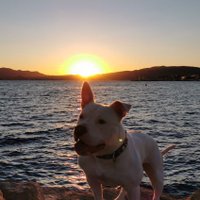 present (@present84817384) 's Twitter Profile