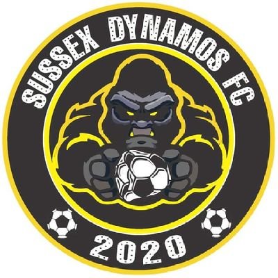 Sussex Sunday football 
email at Sussexdynamos@outlook.com