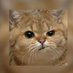 Tigerlilly 📯 (@tigerli43542458) Twitter profile photo Tigerlilly 📯 (@tigerli43542458) Twitter profile photo