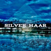 Silver Haar(@HaarSilver) 's Twitter Profileg