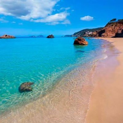 luciannafel's profile picture. 