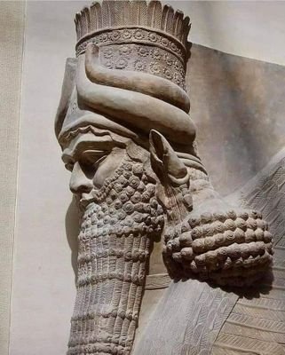 alidecastillos's profile picture. 