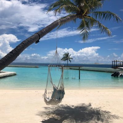 Jianghu70066919's profile picture. 