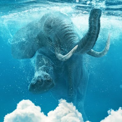 HonchoV's profile picture. I love technology, building businesses, M&A.