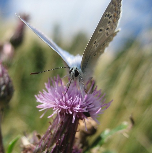 LearntoliveATB's profile picture. Lärarstudent i en termin till. Nyfiken göteborgare. Inspireras av och vill inspirera andra.