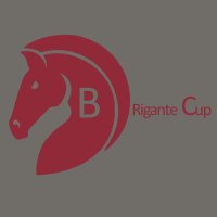 Brigante Cup (@brigantecup) 's Twitter Profile
