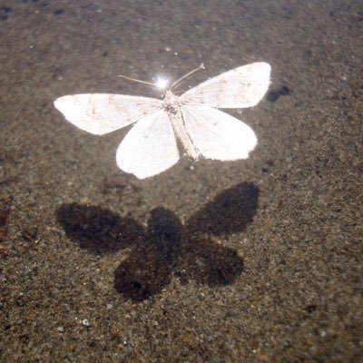 amackzz's profile picture. created to create • abundantly aligned ✨