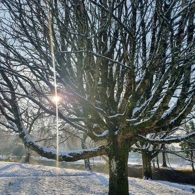 KatrionaGuerin's profile picture. Just another random person rambling through life trying to make the most of it