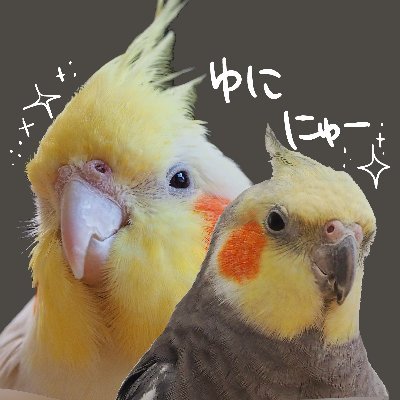 ユニとニューの飼い主さんのプロフィール画像