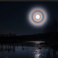 ハチマキ𝕏 (@zitzybgc0jw1356) 's Twitter Profile Photo