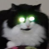 Random_Guy_II's profile picture. 