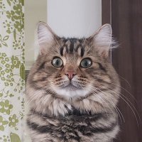 りろ (@tdticft7e9e9gnh) 's Twitter Profile