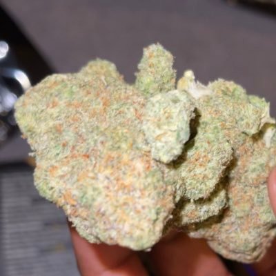 thechi_flowers's profile picture. Nothing for sale Chicago’s Premier Nugget Factory