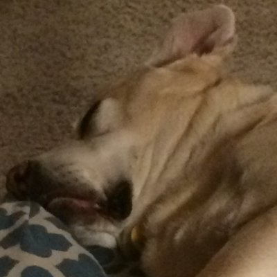 Kobesowner's profile picture. Sarcasm is the best coping mechanism.